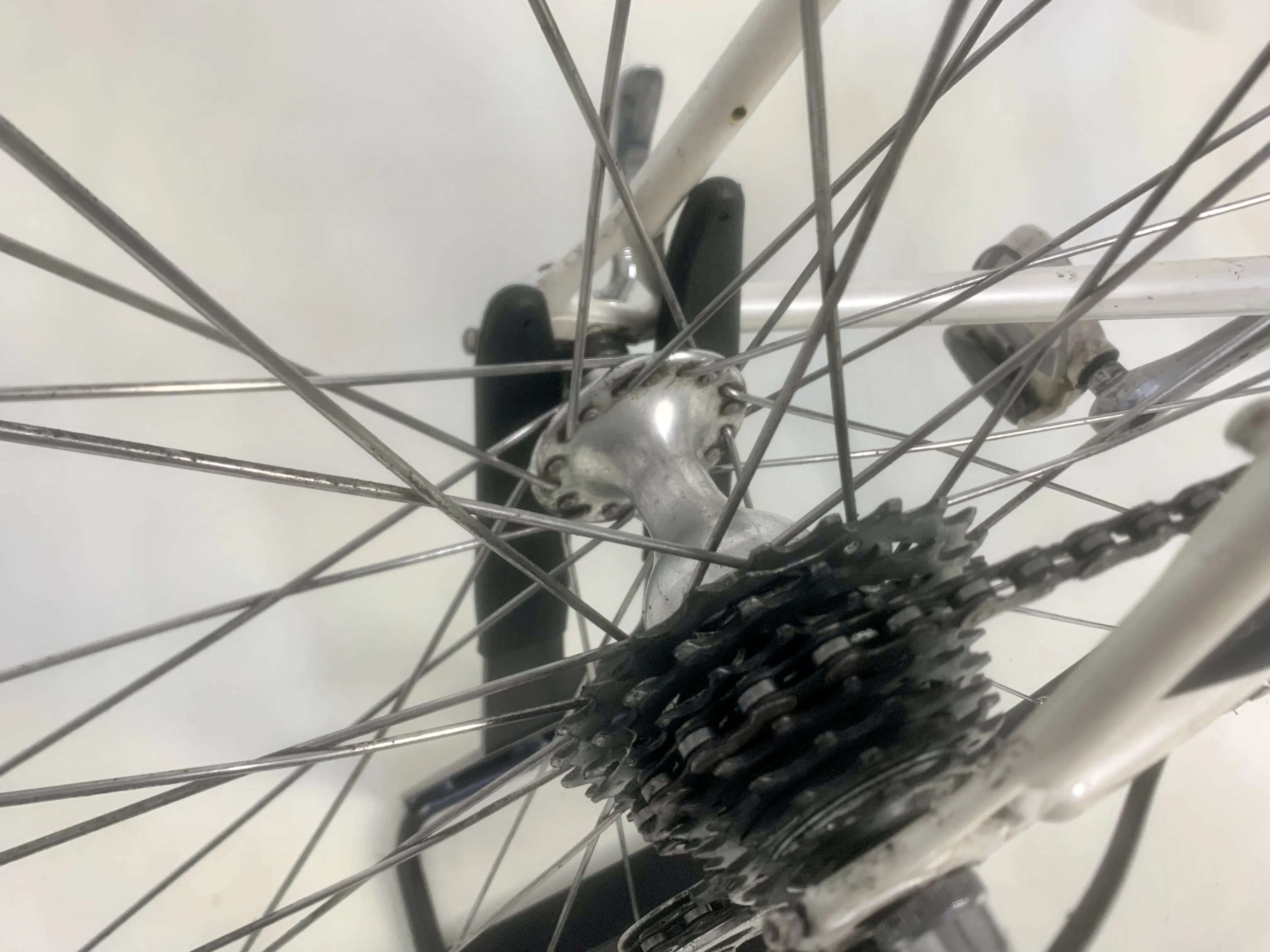 1998 Gazelle Team 56cm Campagnolo