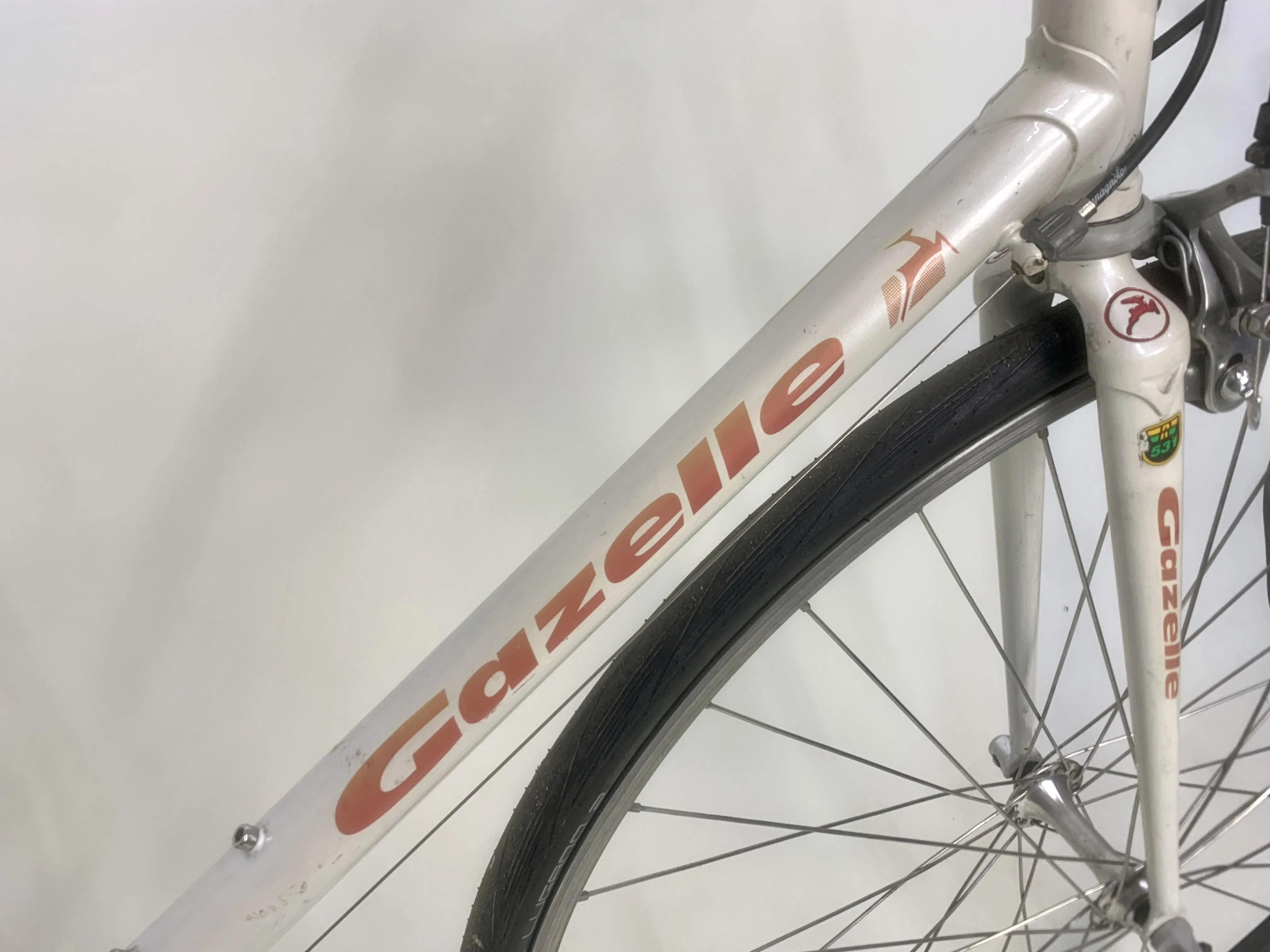 1998 Gazelle Team 56cm Campagnolo