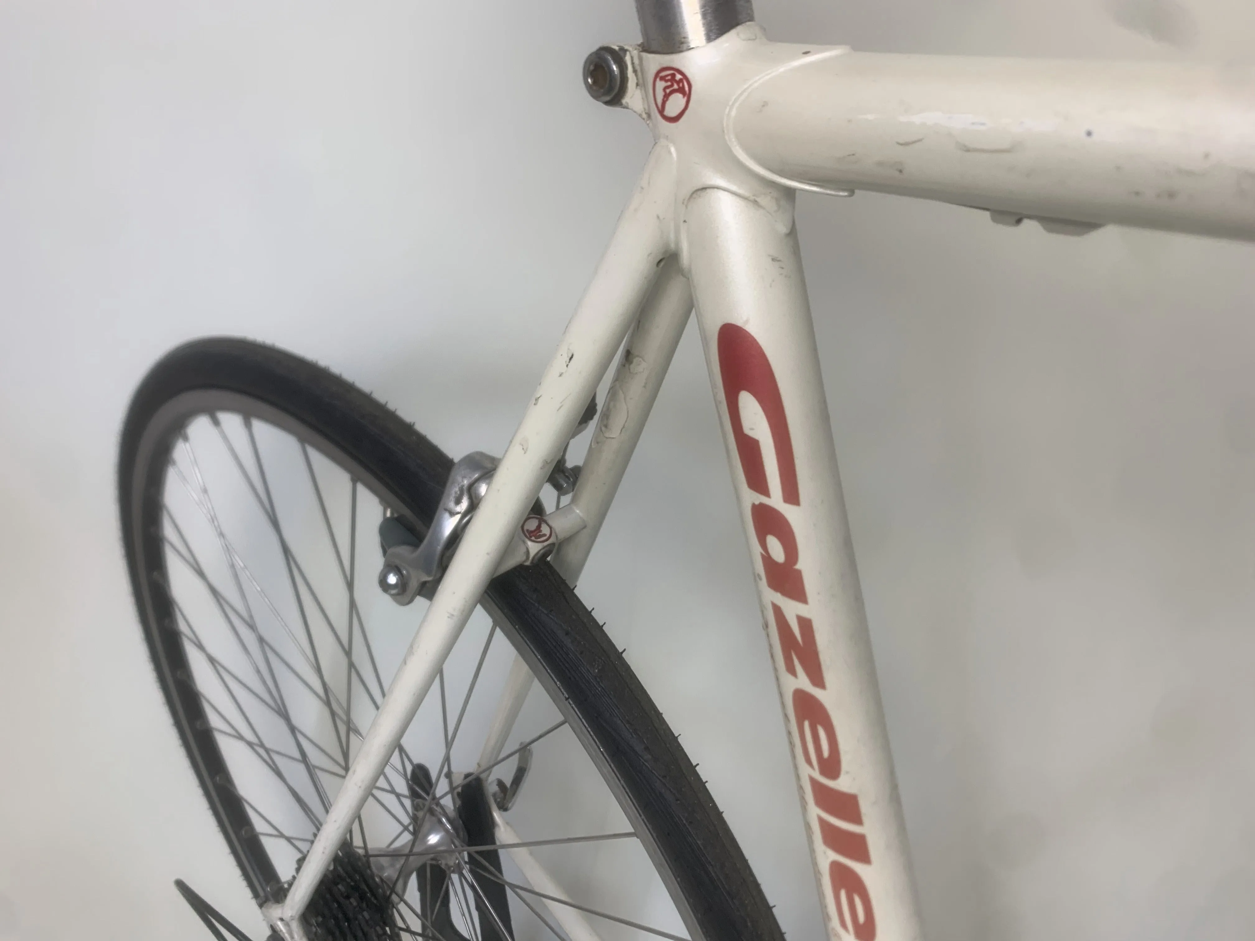 1998 Gazelle Team 56cm Campagnolo