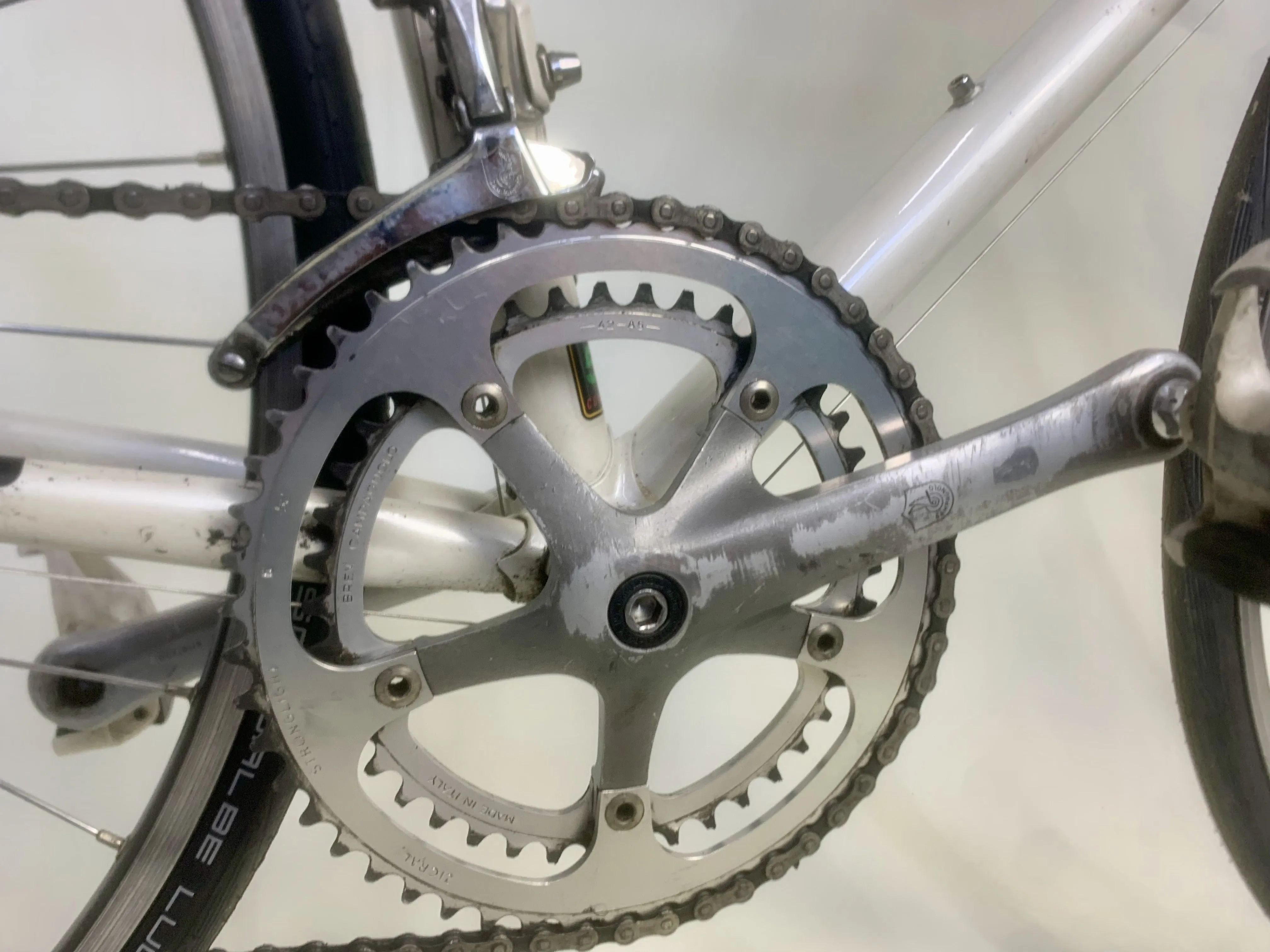 1998 Gazelle Team 56cm Campagnolo