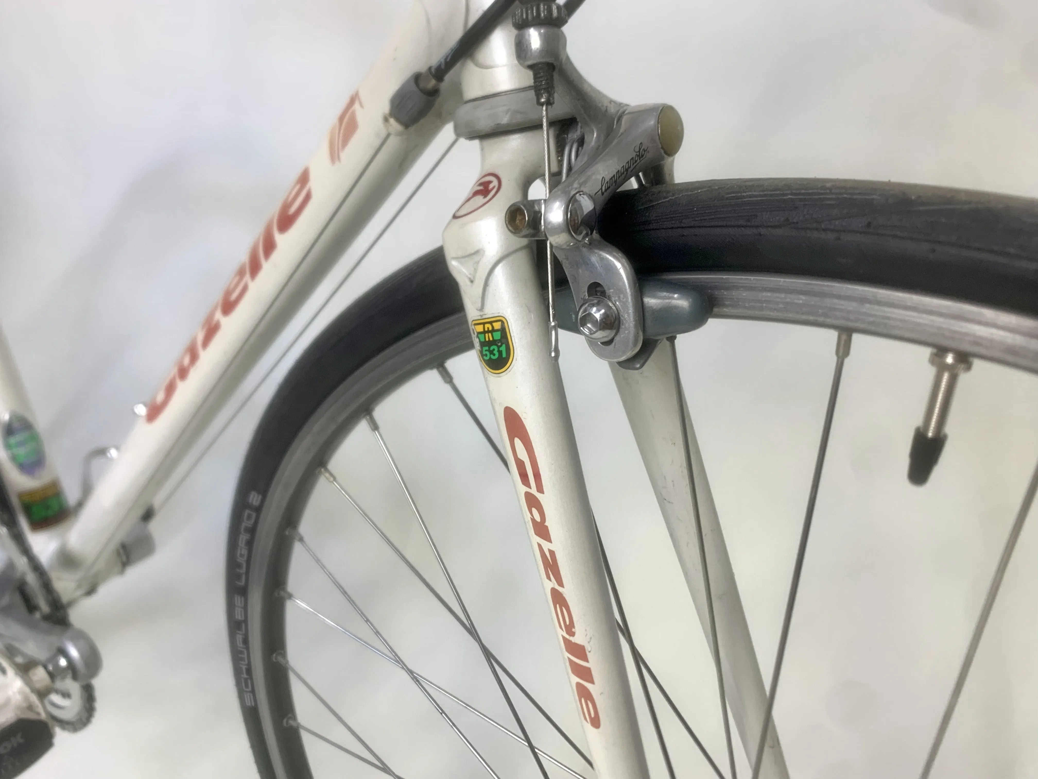 1998 Gazelle Team 56cm Campagnolo
