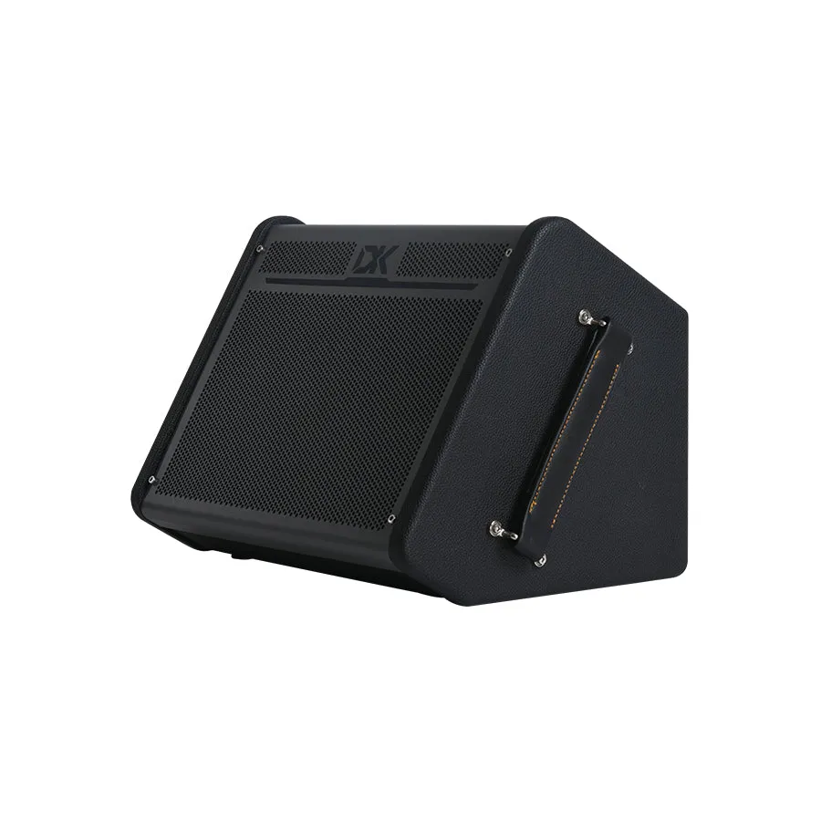 Amplifier DK IC-100, Combo 100W