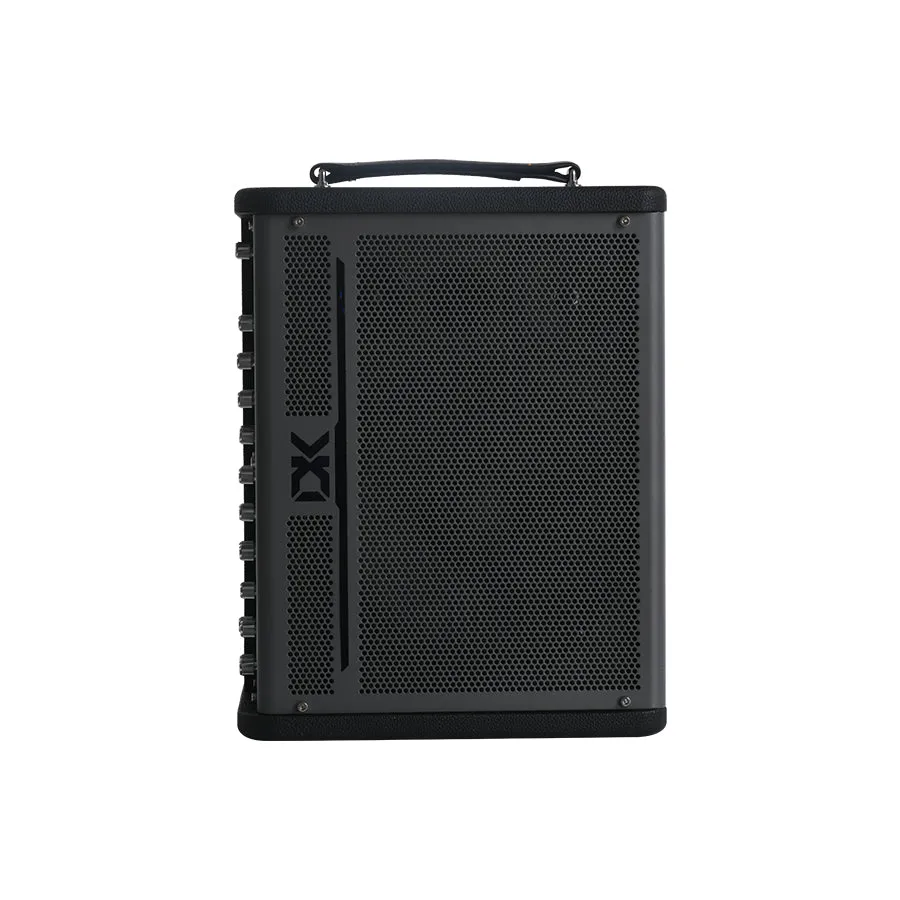 Amplifier DK IC-100, Combo 100W