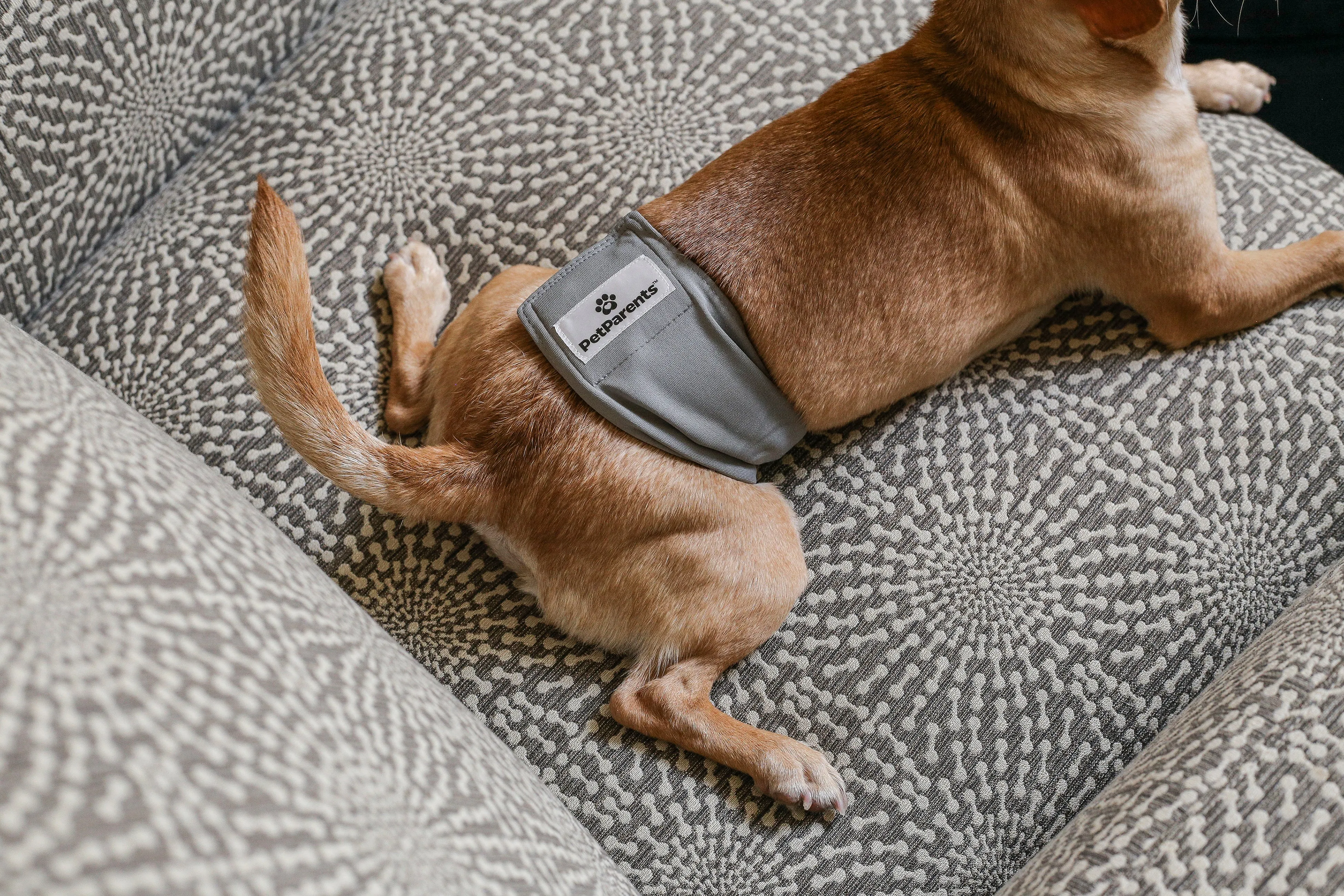 Belly Bands (3-Pack)   Extendrs®