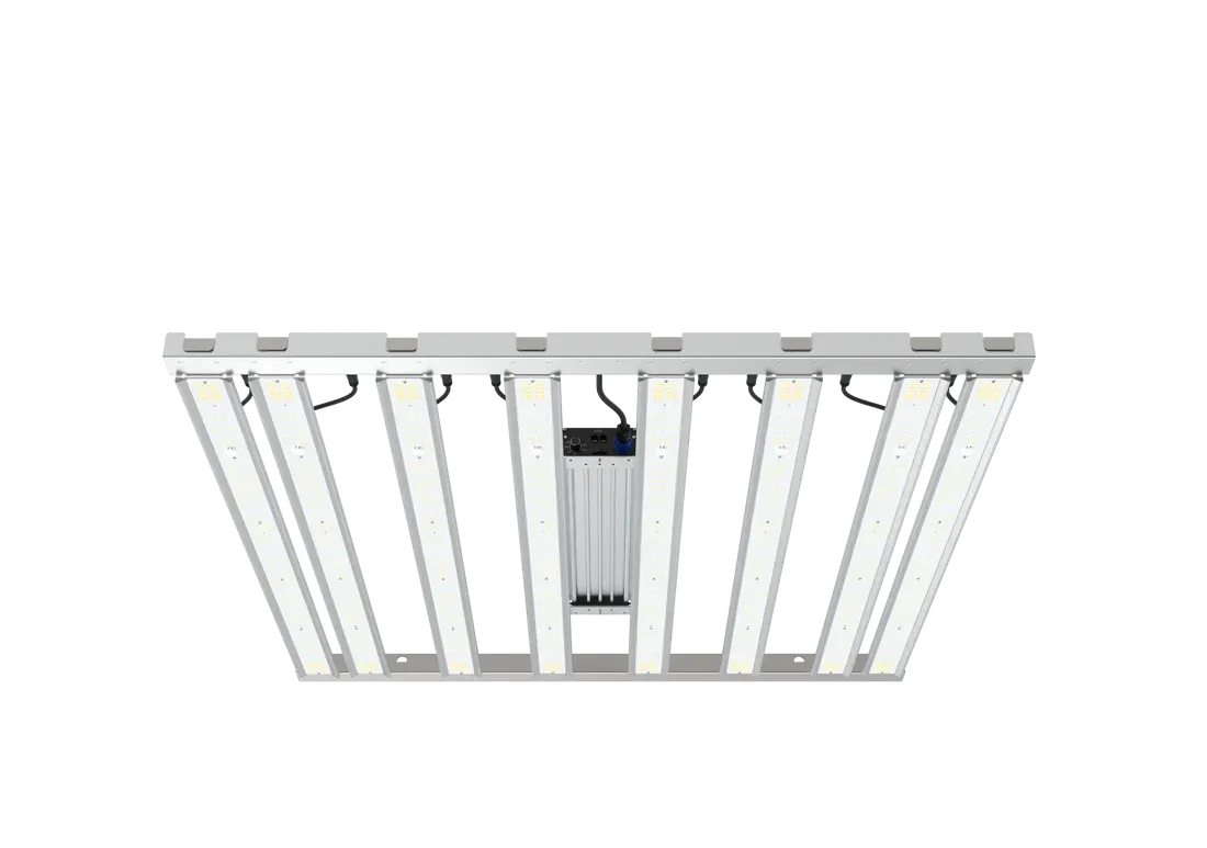 BuildASoil 4x4 Grow Tent Bundle: Grand Master LED (Free Shipping)