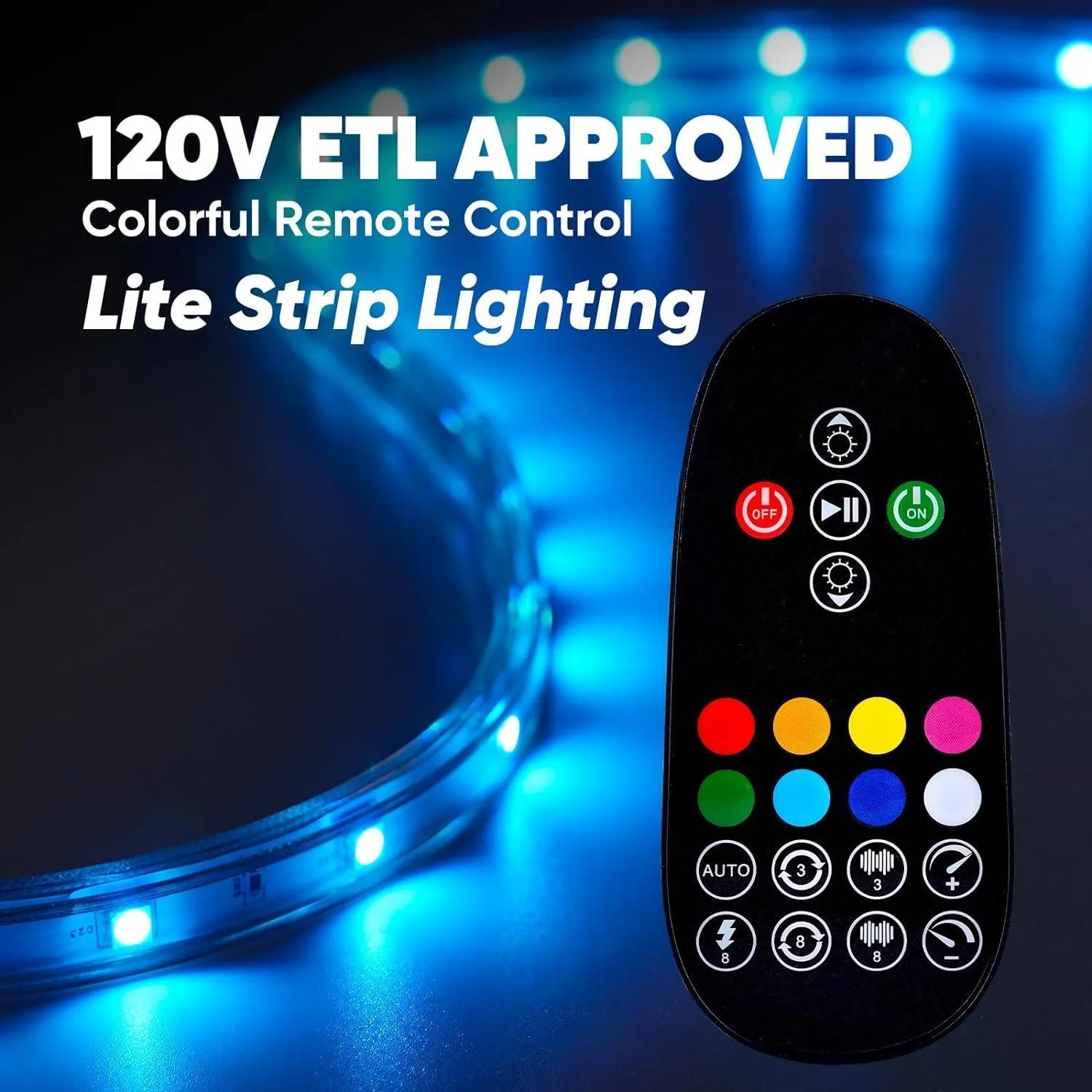 Extra Controller Kit for 110V 7x13mm RGB LED Lite Strip Lights