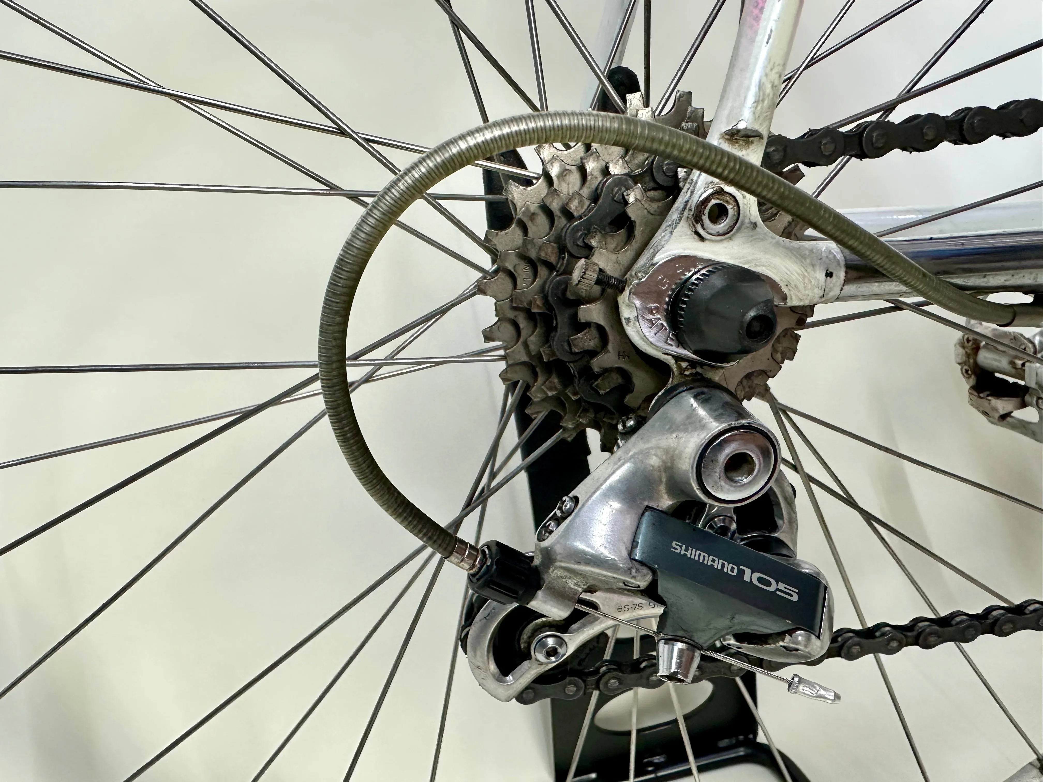 F Moser Corsa 59cm
