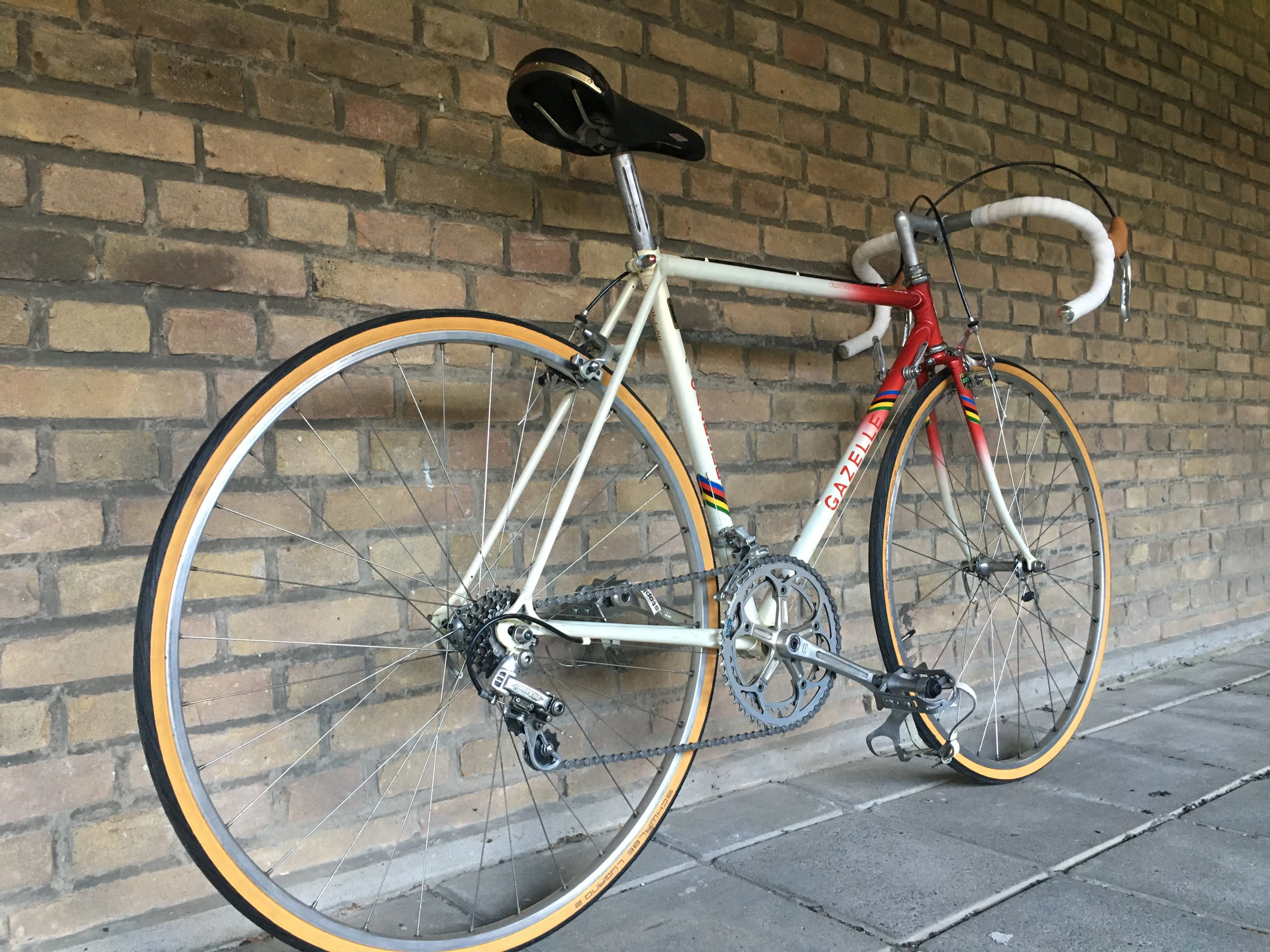 Gazelle Champion Mondial 531C