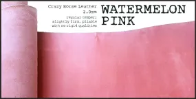 R.atelier B6 / B6 Slim TN Leather Folio | Watermelon Pink