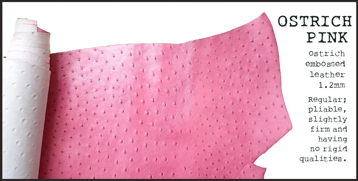 R.atelier Pocket TN Leather Folio | Ostrich Pink