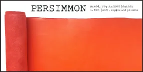R.atelier Pocket TN Leather Folio | Persimmon