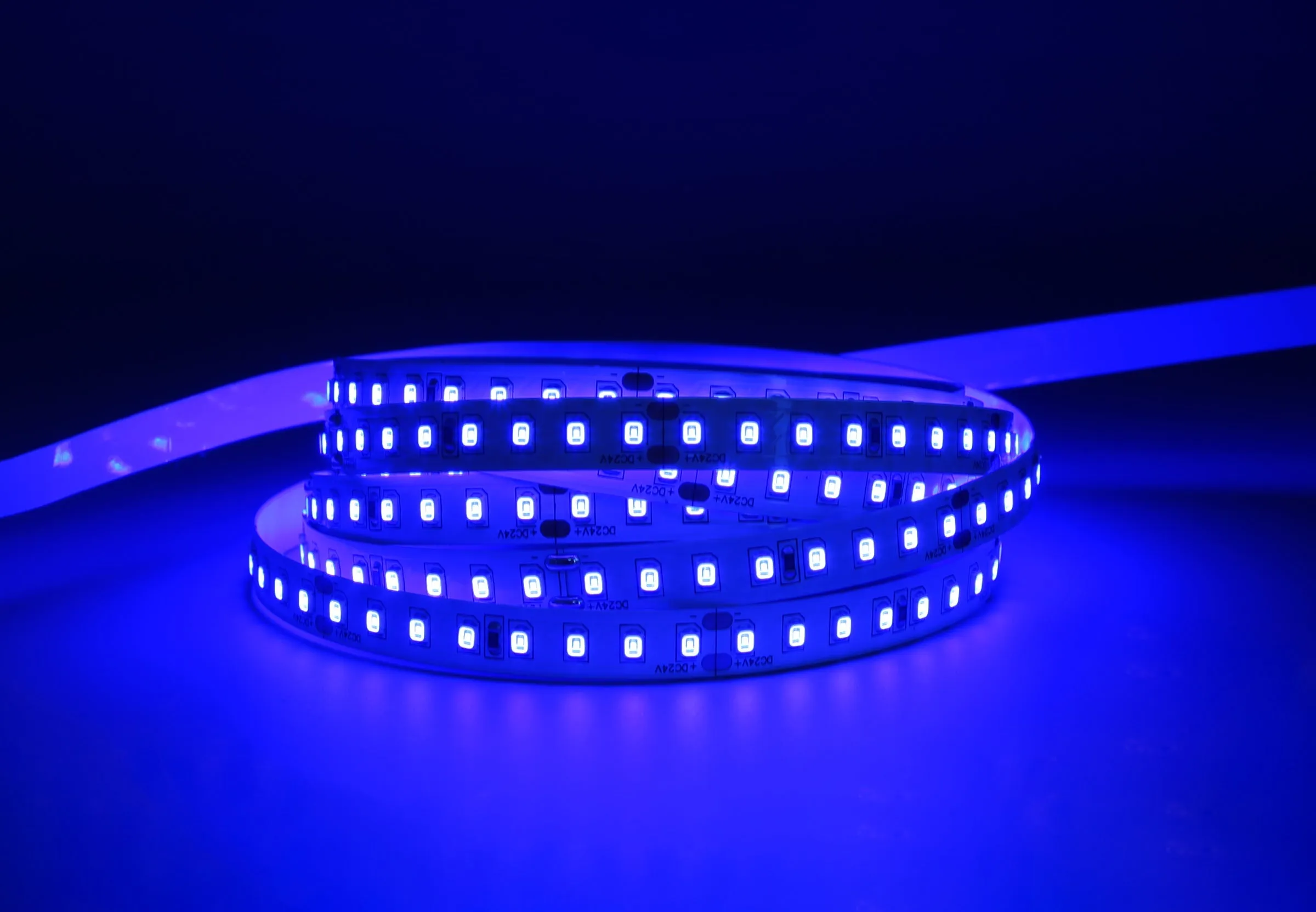 YUJILEDS® Blue LED Flexible Strip -128 LEDs/m - 5m/Reel